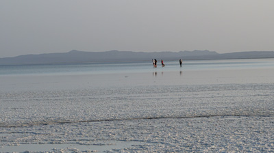 Lake Assale, Hamad&nbsp;Ela, Ethiopia++ 2018