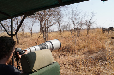 The 600 mm Canon birder's lens, Ruaha National Park, Tanzania 2019