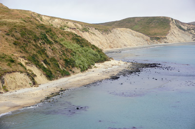Elephant Seals Beach But only a couple of seals., Point Reyes National Seashore, California 2019