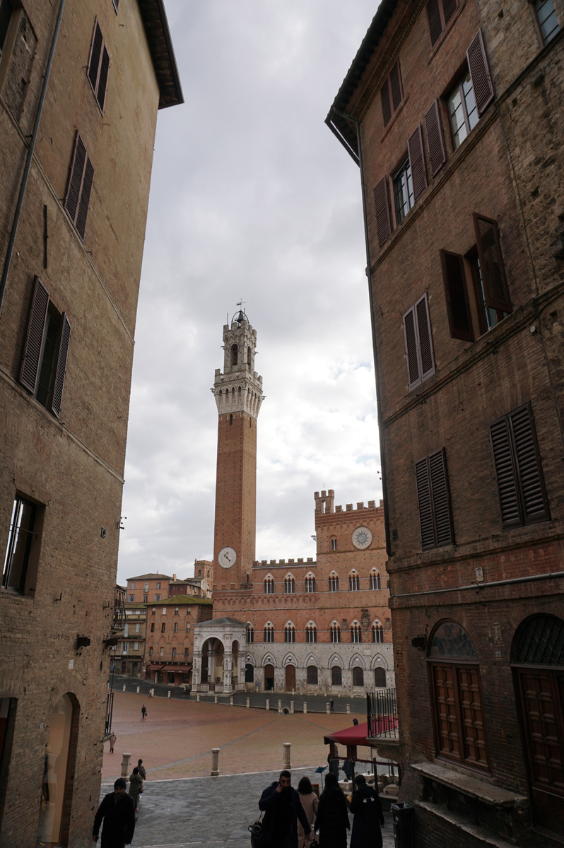 Around Siena, View to Torre del Mangia