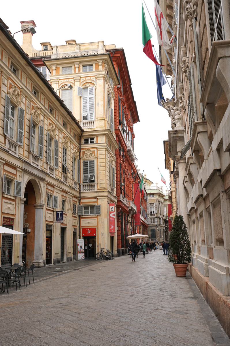 Musei di Strada Nuova, Strada Nuova