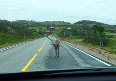 Kirkenes to Nordkapp, Norway 2019