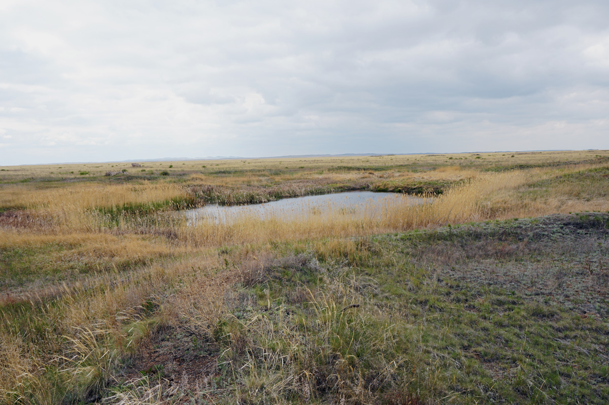 Semipalatinsk Test Site, Pond at Ground Zero