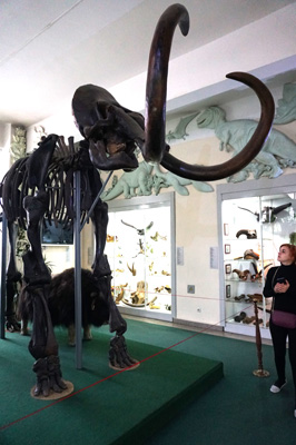 Mammoth, Krasnoyarsk, Russia 2019 - The BAM