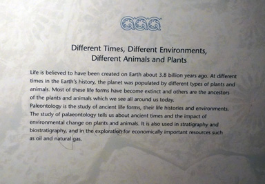 "Different Times ... Different Animals and Plants", Riyadh: National Museum, Saudi Arabia 2019
