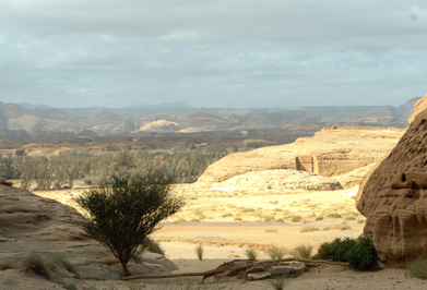 Jabal Ithlib: View down to green farmland, Madain Saleh: Jabal Ithlib, Saudi Arabia 2019