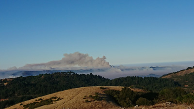 Aug 20th: Wildfires from Black Mountain, Pandemic March-November, California 2020: Pandemic & More