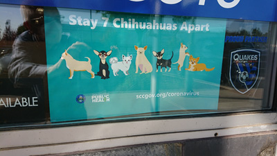 Nov 2nd: Social Distancing at Charleston Supercuts, Pandemic March-November, California 2020: Pandemic & More