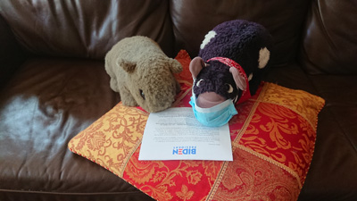 Nov 7th: It's official: Biden President!, Elections 2020</small>, California 2020: Pandemic & More