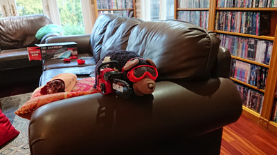 Christmas: A new Chainsaw!, Elections 2020</small>, California 2020: Pandemic & More