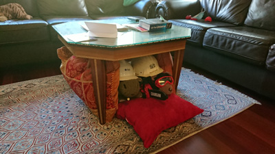 Postscript, California 2020: Pandemic & More