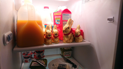 South Ct, April 14th: Emergency Chocolate Rabbits, Pandemic March-November, California 2020: Pandemic & More