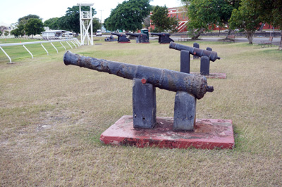 Elderly Cannon, Barbados: Garrison Savannah area, 2020 Caribbean (Spring)