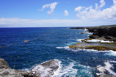 North Point, Atlantic view, Around Barbados, 2020 Caribbean (Spring)