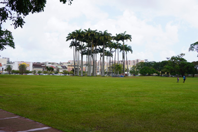 La Savane Park, Fort de France, 2020 Caribbean (Spring)