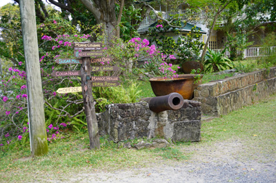 Morne Coubaril estate, St Lucia: Trip to Soufriere, 2020 Caribbean (Spring)