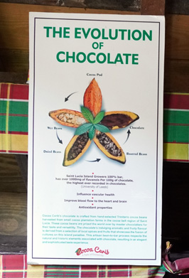 How cocoa beans are processed, St Lucia: Trip to Soufriere, 2020 Caribbean (Spring)