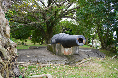 Castries: Apostles battery, St Lucia: Around Castries, 2020 Caribbean (Spring)