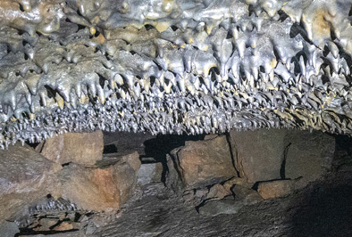 Tiny lava stalagtites on ceiling., Leiðarendi Lava Tubes, Iceland 2020 - Reykjavik Area