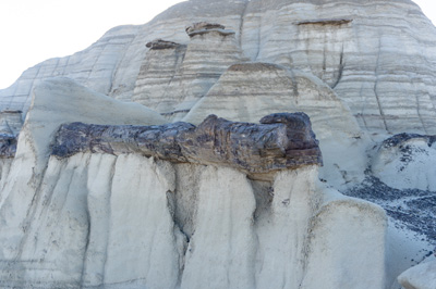 Petrified Log, Bisti/De-Na-Zin Wilderness, New Mexico to Colorado, Fall 2021