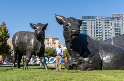 “Scottish Angus Cow and Calf” + Graham, Denver, New Mexico to Colorado, Fall 2021