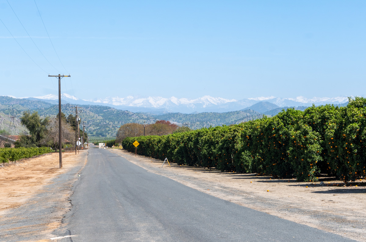 Visalia area, Mountains & Orange Trees.  East of Dinuba
