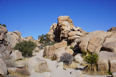 Hidden Valley Trail entrance, Joshua Tree National Park, California March 2021