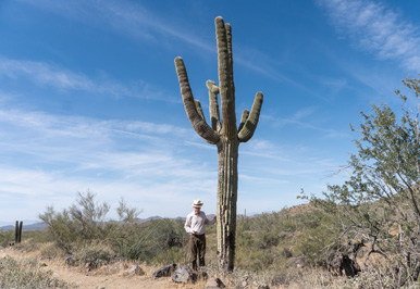 Cave Creek Regional Park: Quartz Trail, Arizona 2021