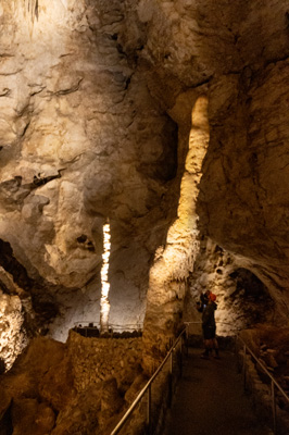 Carlsbad Caverns National Park, New Mexico April 2021