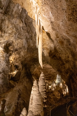 Carlsbad Caverns National Park, New Mexico April 2021