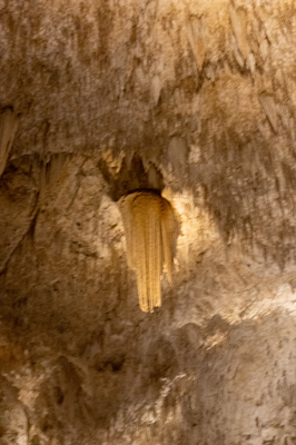 Cthulhoid Horror descending from ceiling, Carlsbad Caverns National Park, New Mexico April 2021