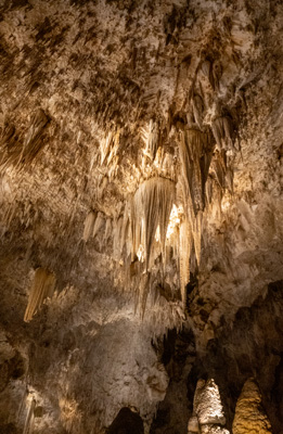Stalagtite clusters, Carlsbad Caverns National Park, New Mexico April 2021