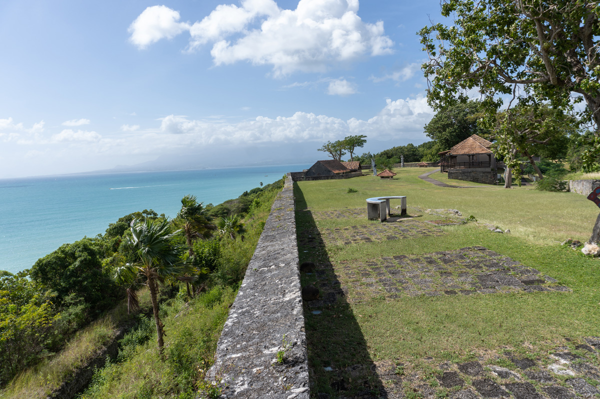 Fort Fleur d