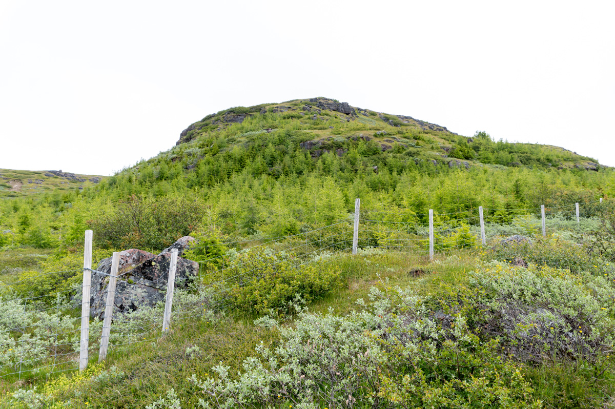 Igaliku: Garðar Cathedral, "The Children