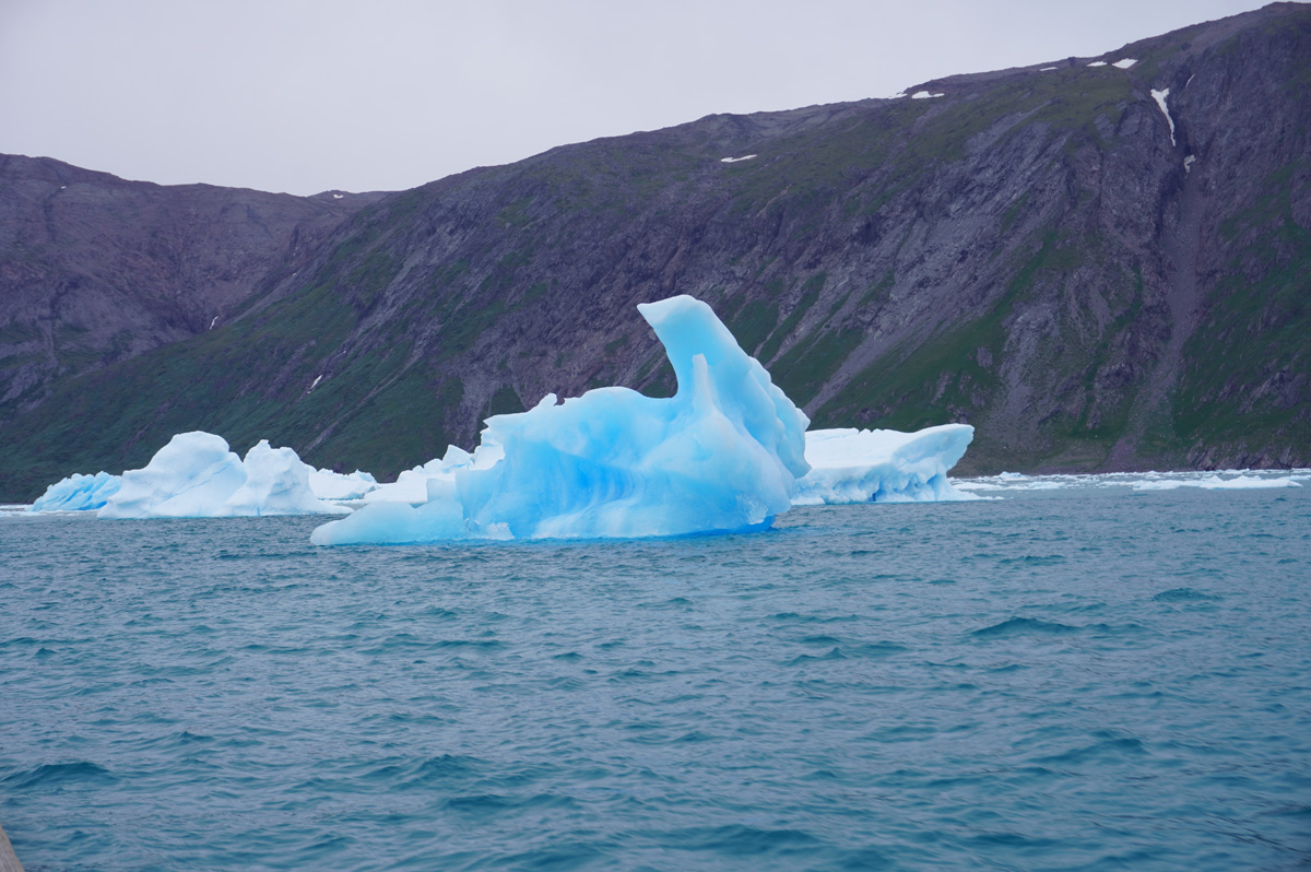 Narsarsuaq: Cruise to Qooroq Icefjord