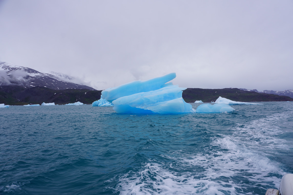 Narsarsuaq: Cruise to Qooroq Icefjord