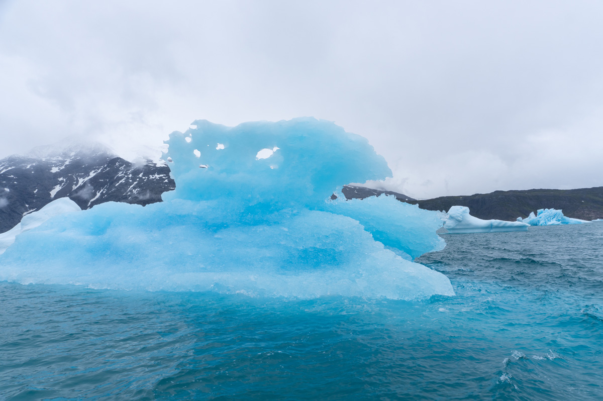 Narsarsuaq: Cruise to Qooroq Icefjord