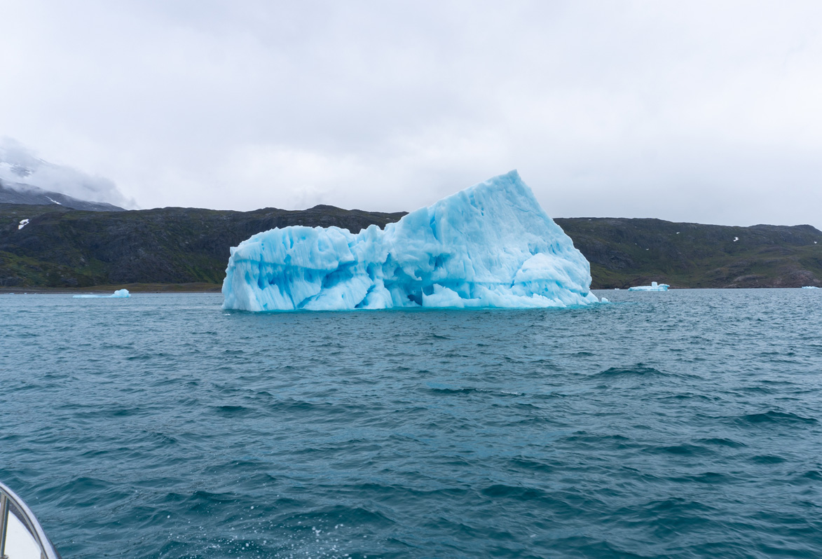 Narsarsuaq: Cruise to Qooroq Icefjord