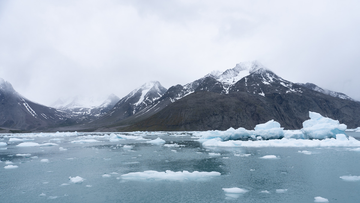 Narsarsuaq: Cruise to Qooroq Icefjord