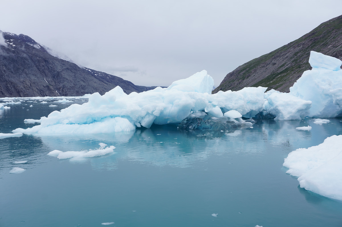 Narsarsuaq: Cruise to Qooroq Icefjord