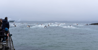 The Seal Hunters are off!, National Day Celebrations, Greenland 2022