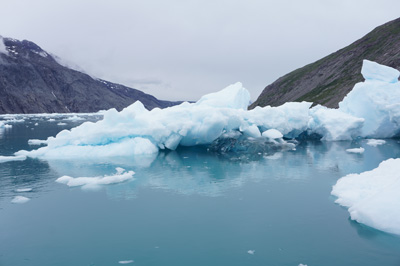 Narsarsuaq: Cruise to Qooroq Icefjord, Greenland 2022