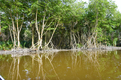 Brunei River trip, Brunei 2022
