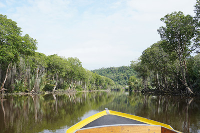 Brunei River trip, Brunei 2022