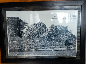 Photo of Prambanan in 1880 The "restoration" has been, Prambaban Temple, Indonesia 2022 - Java