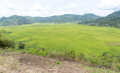 "Spider Web" Fields, West of Ruteng, Indonesia 2022 - Komodo & Flores