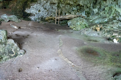 Traces of excavator workings Some areas have been covered in pl, Liang Bua "Hobbit Cave"</b>, Indonesia 2022 - Komodo & Flores
