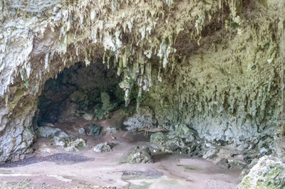Many spikey stalactites, Liang Bua "Hobbit Cave"</b>, Indonesia 2022 - Komodo & Flores