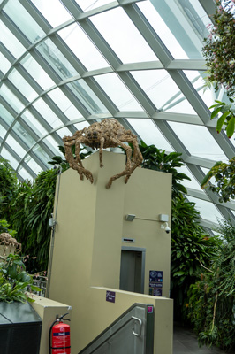 Giant Singapore Spider, Gardens by the Bay: Cloudforest Dome, Singapore 2022