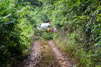 Abother, smaller, blockage on the road, Brownsberg, 2022 Suriname